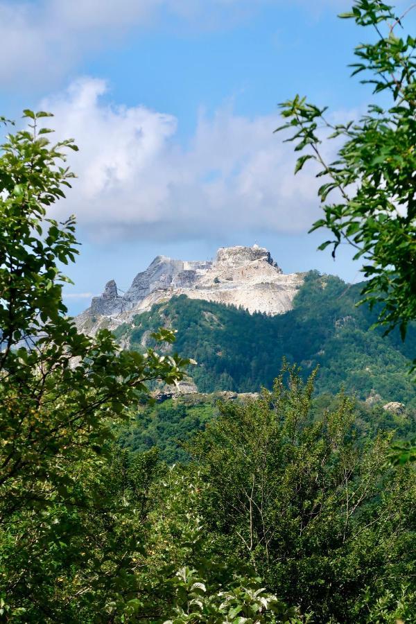 Casa Del Geco - La Natura Intorno A Te Camaiore Bagian luar foto